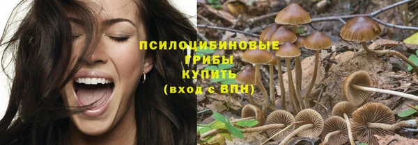 эйфоретик Алзамай